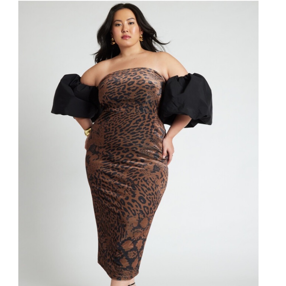 Velvet Puff Sleeve Leopard Dress 🐆🤩